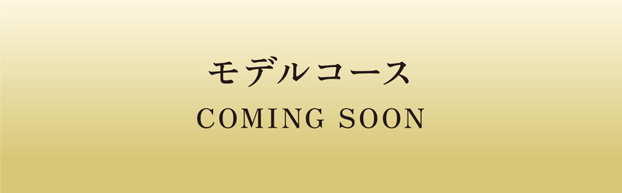 モデルコース